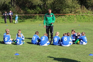 hth电竞-中国篮球教练员战术创新能力培养及培训机制探讨，篮球教练员素养