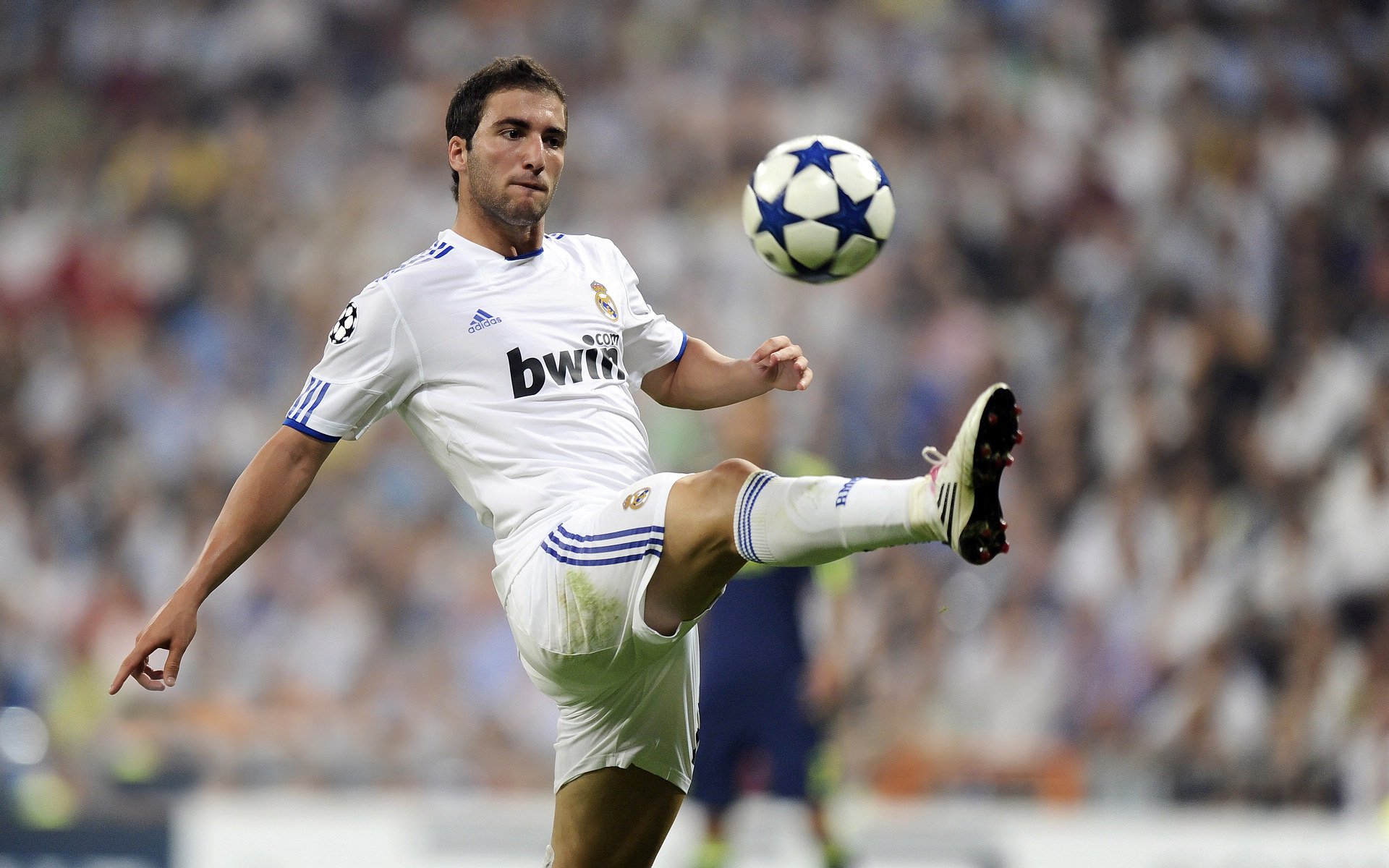 冠军球队社媒运营团队获行业奖项表彰创造性传播案例